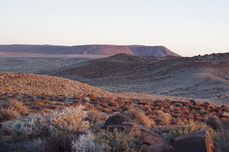 0 Bedroom Property for Sale in Calvinia Rural Northern Cape